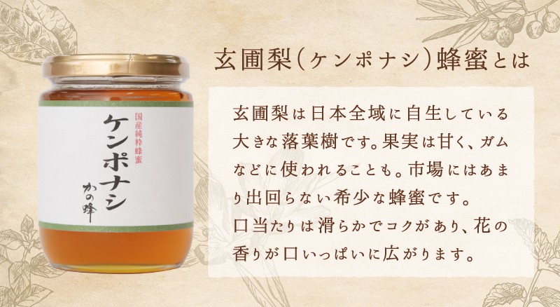 国産ケンポナシ蜂蜜 けんぽなし蜂蜜 蜂蜜 300g ハチミツ専門店 かの蜂 :kenponashi-300:かの蜂 - 通販 -  Yahoo!ショッピング