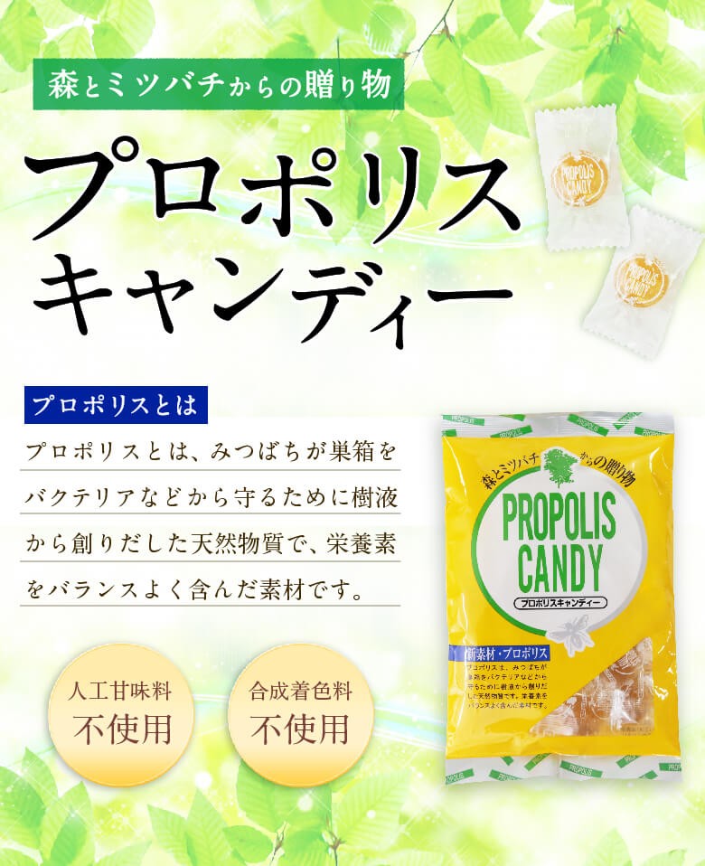 かの蜂 はちみつ 蜂蜜 ハチミツ 飴 キャンディ プロポリス