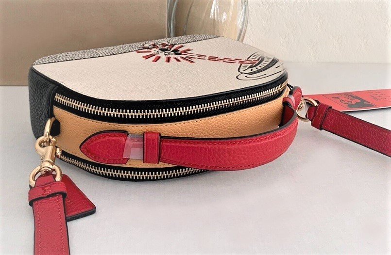 COACH xキースへリング 　スマホ ショルダーバッグ コーチxキースへリング シグネチャー 携帯スマホ ショルダー