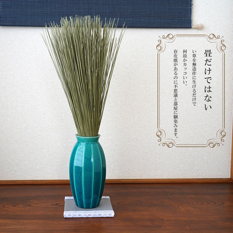kagami001-3.jpg