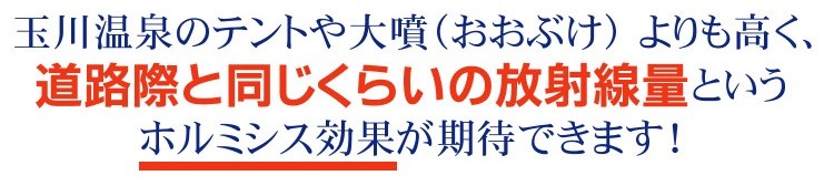 ホルミシスシート（バドガシュタイン鉱石シート）ホルミシス効果 健康 快眠 プレゼント 贈り物 ラドンシート ラジウムシート ホルミシスシート ご質問は