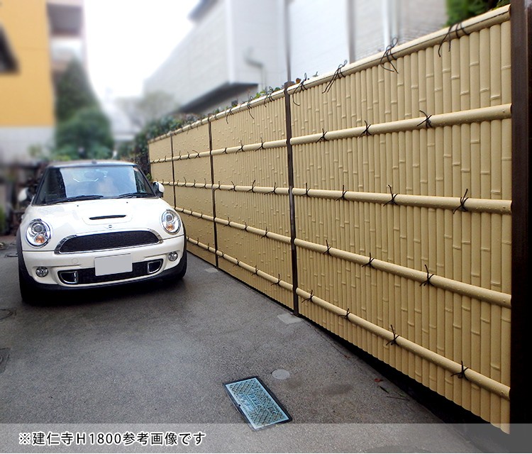  bamboo fence eyes ..