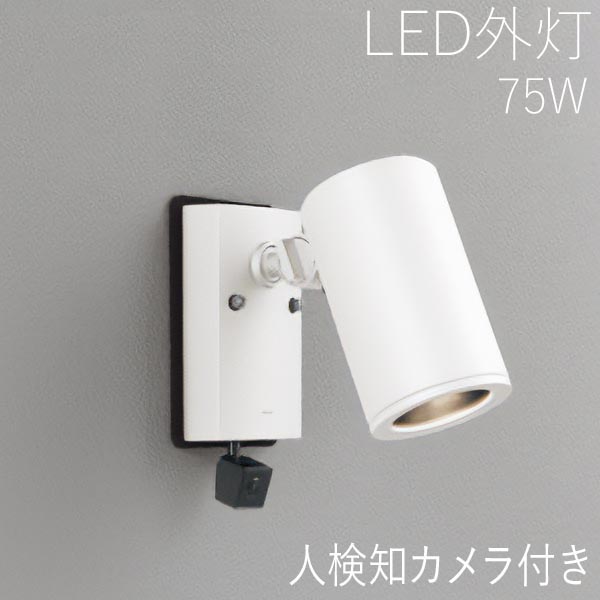 スポットライト 屋外 照明 ガーデンライト LED 外灯 顔識別