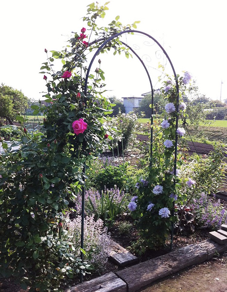 ガーデンアーチ アイアン バラアーチ 園芸 バラ アーチ パーゴラ 庭