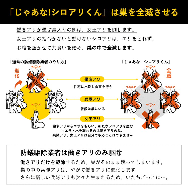 通常の防蟻駆除業者のやり方との違い