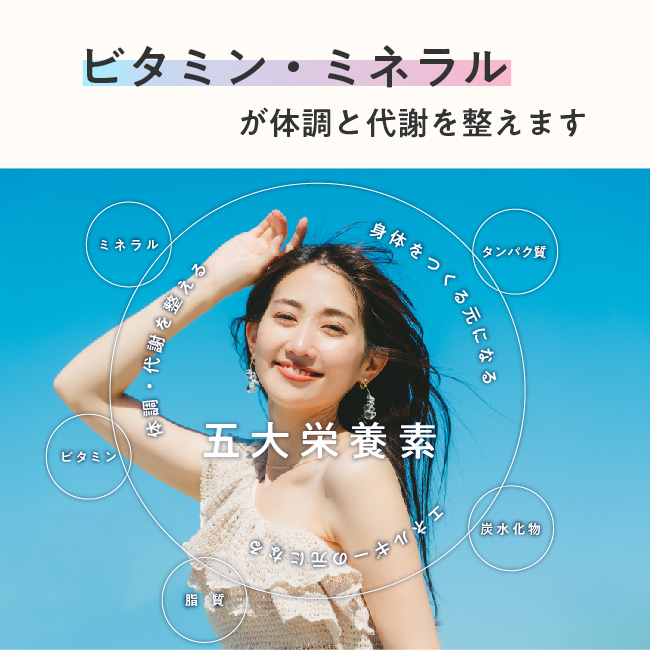 訳あり 賞味期限2025年8月 綿半オリジナル 酵母プロテイン