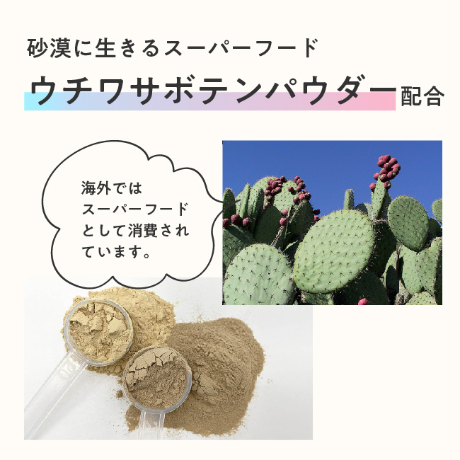 3kg×2個セット 合計6㎏ 酵母プロテイン ミルクティー風味 ココア