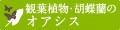 観葉植物・胡蝶蘭のオアシス ロゴ