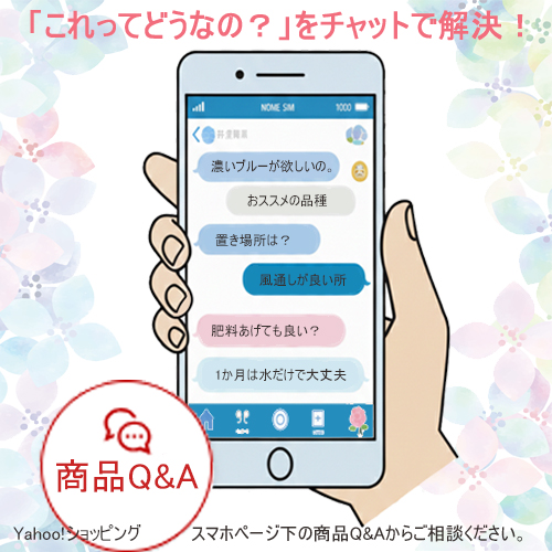 ステンドグラスピンク 母の日 達人のあじさい さかもと園芸 ポージィ