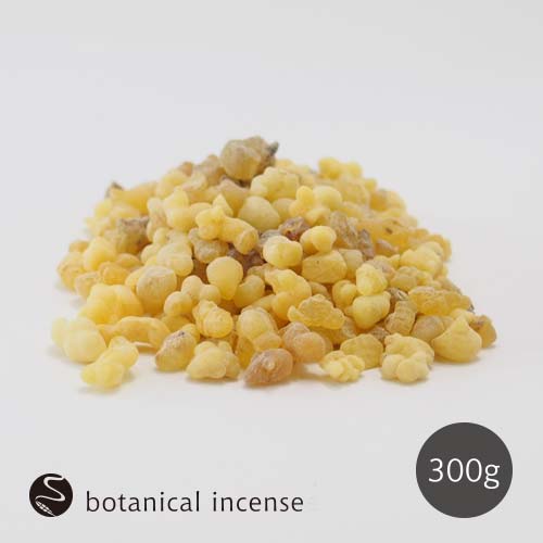 フランキンセンス エチオピア産 乳香 お香 300g MUKUボタニカルイン