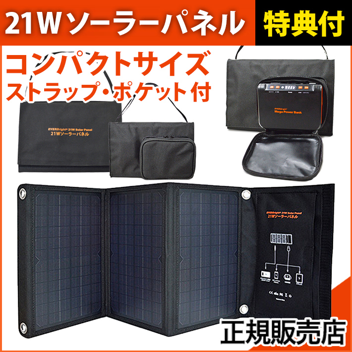 史上一番安い ソーラーパネル 40W ソーラー充電 高効率 コンパクトサイズ 停電 災害 防災 メテックス SSBSP-40W fucoa.cl