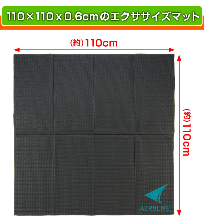 AEROLIFE（エアロライフ） 大判エクササイズマット DR-0600 110x1100