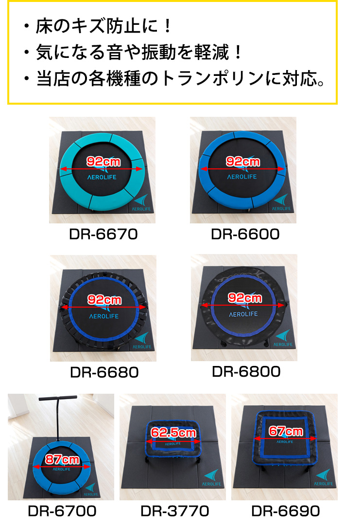 AEROLIFE（エアロライフ） 大判エクササイズマット DR-0600 110x1100