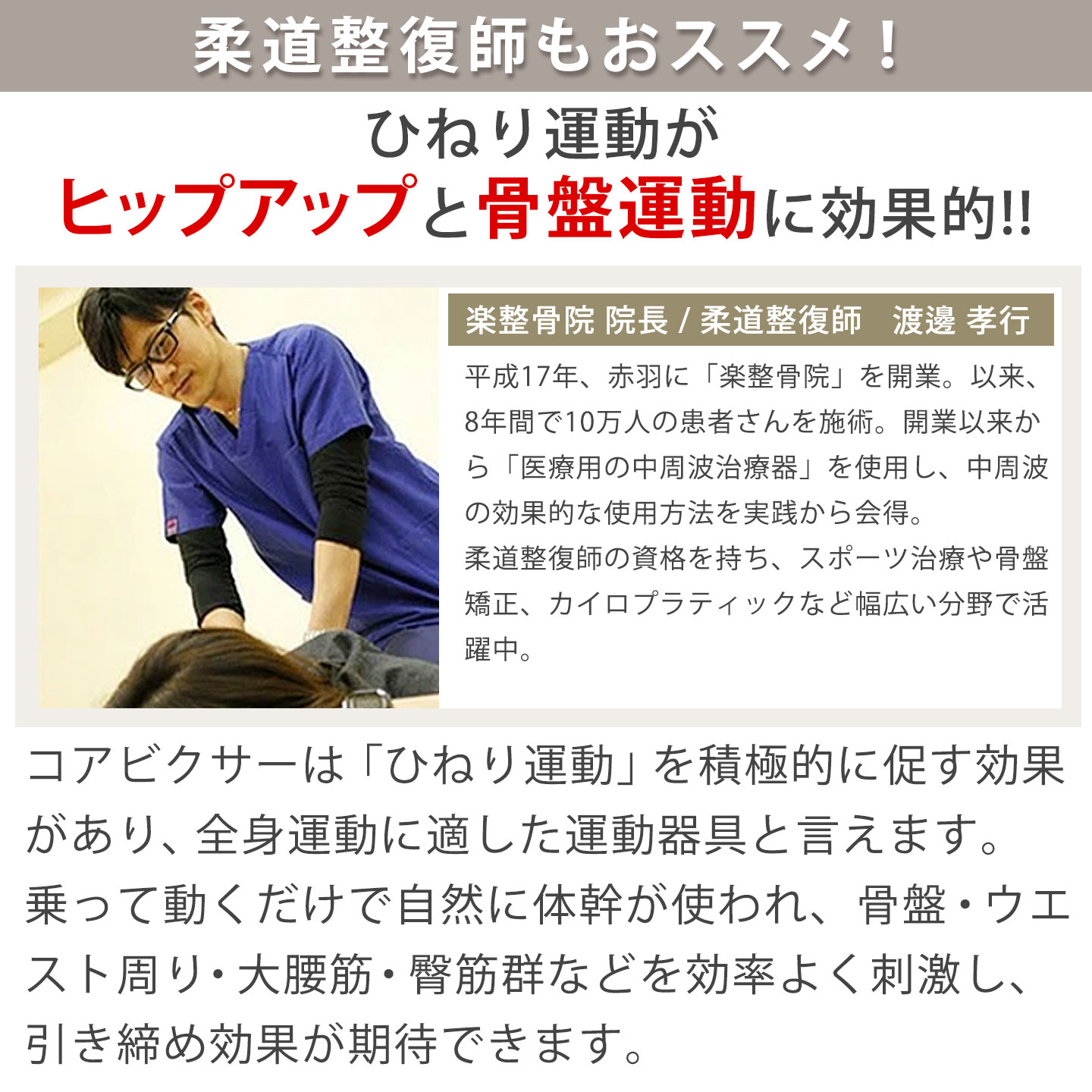 AEROLIFE（エアロライフ） ツイスト ステッパー くすみカラー 1年保証
