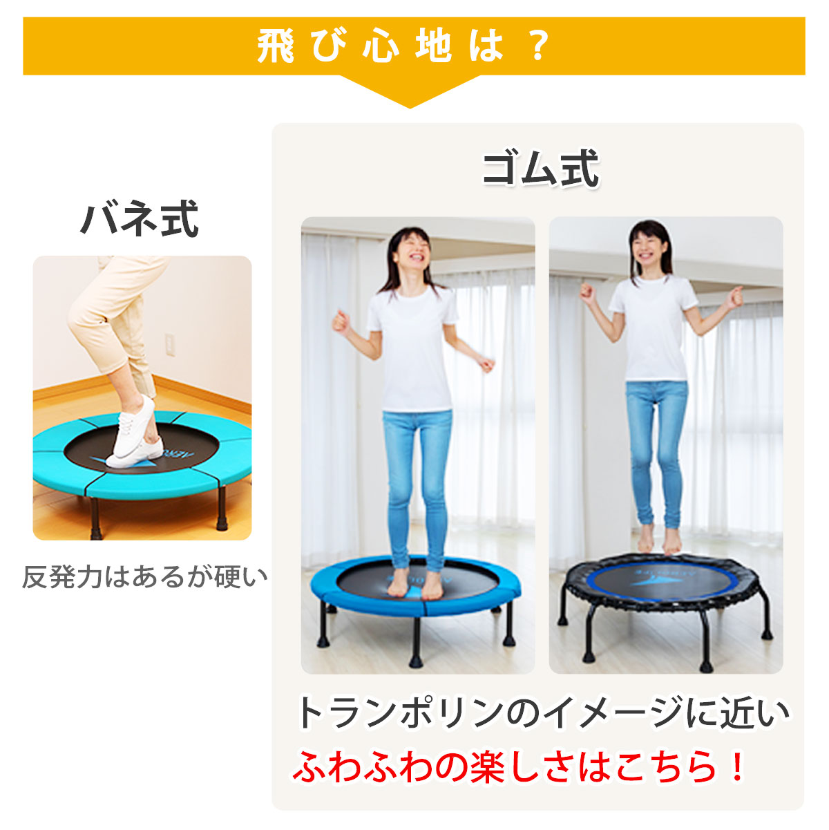 愛され続けて25年　ホームジャンピング