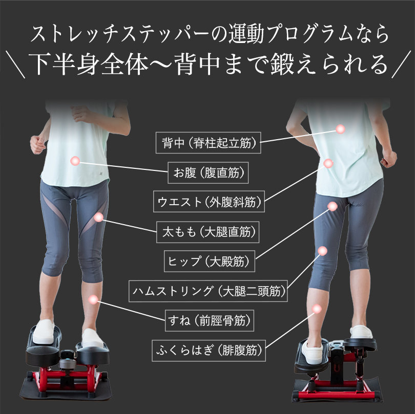 AEROLIFE ＼5年保証／ ステッパー ストレッチステッパー 足踏み