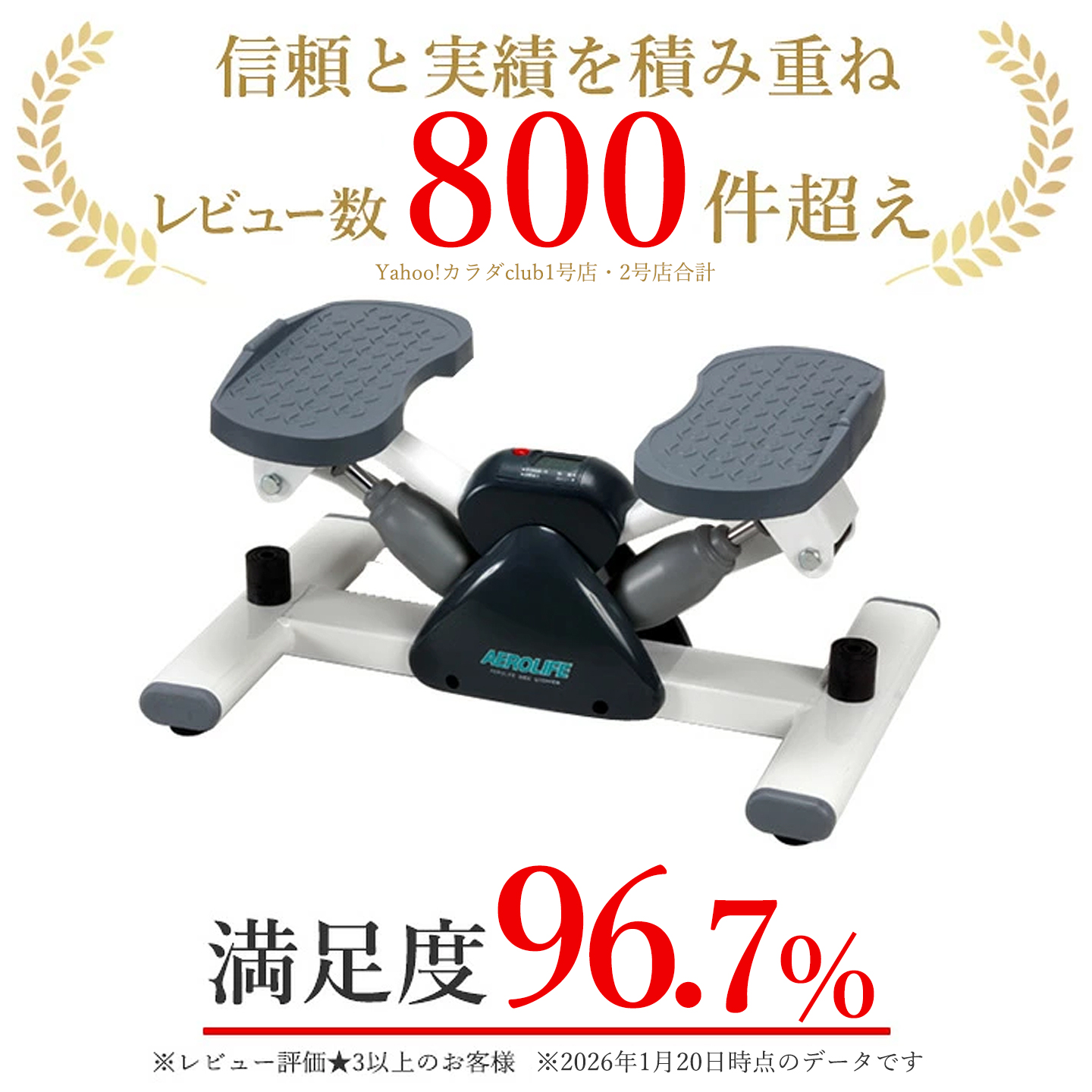 AEROLIFE（エアロライフ） ステッパー サイドステッパー 健康