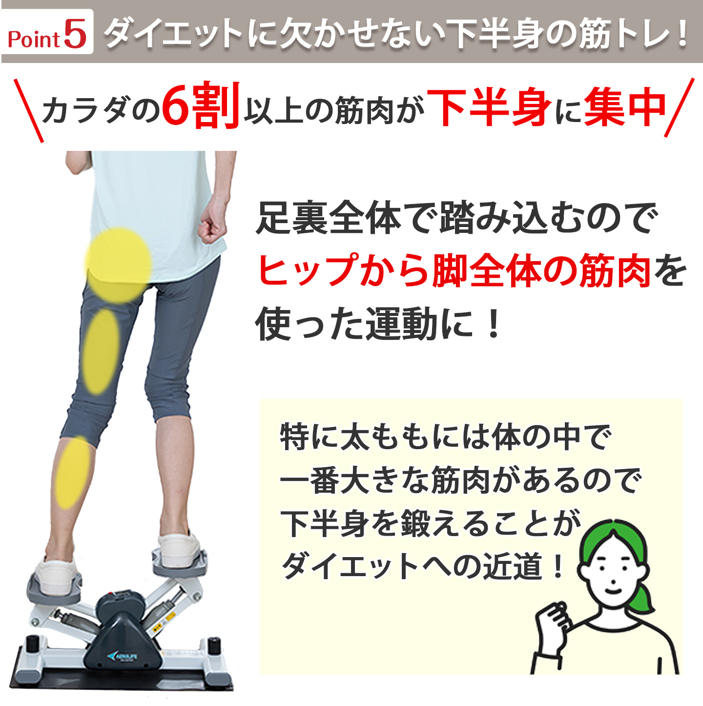 AEROLIFE（エアロライフ） ステッパー サイドステッパー 健康