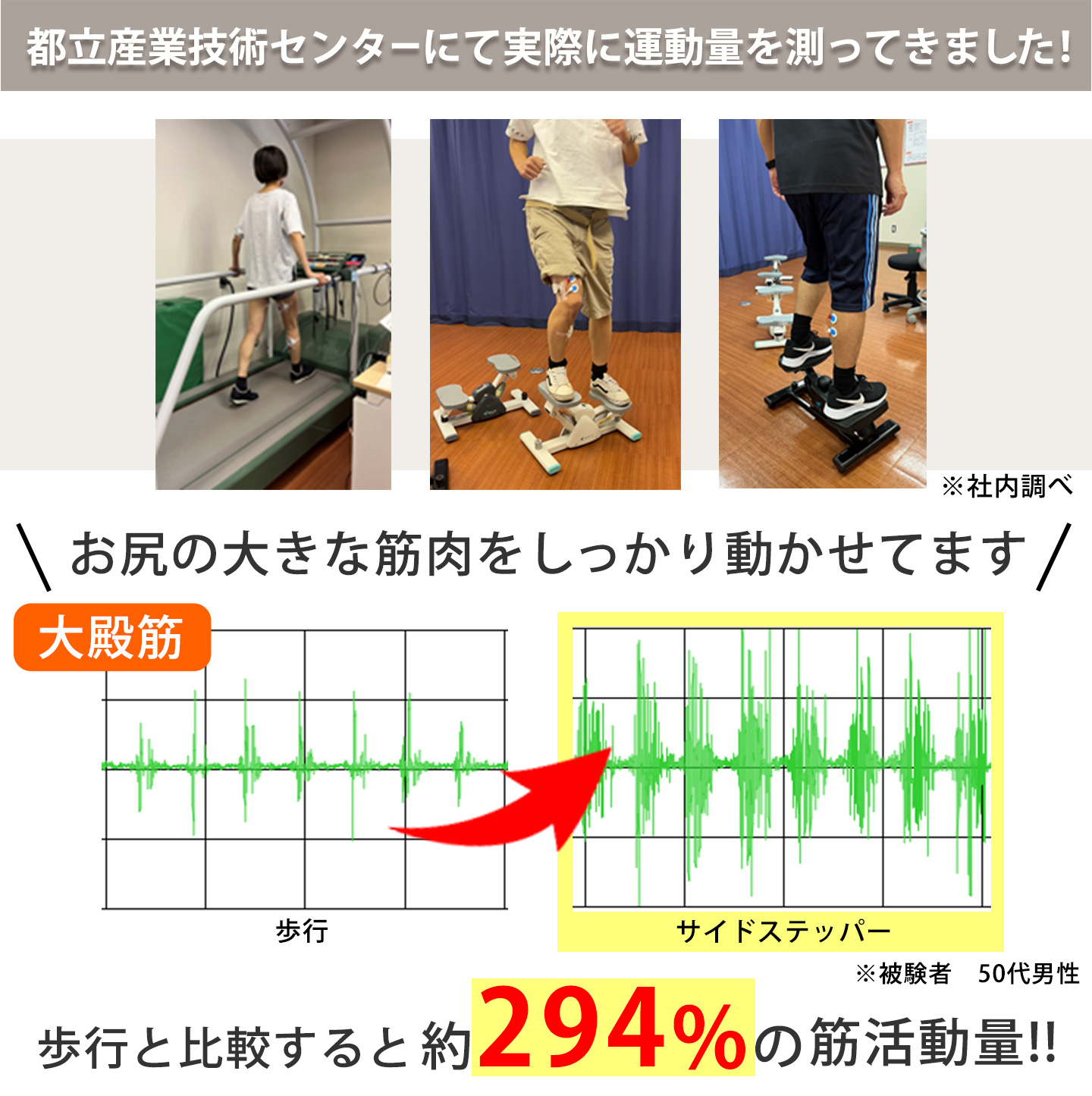 AEROLIFE（エアロライフ） ステッパー サイドステッパー 健康