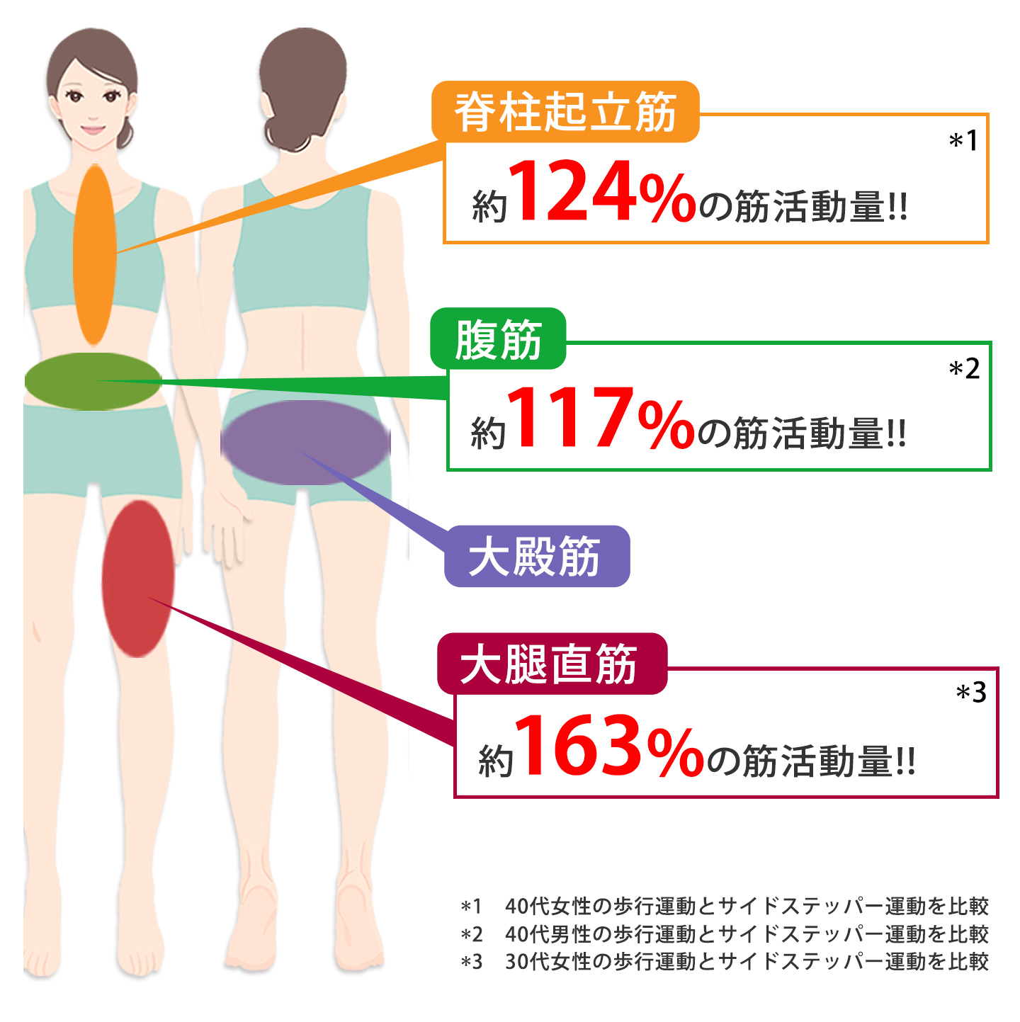 AEROLIFE（エアロライフ） ステッパー サイドステッパー 健康