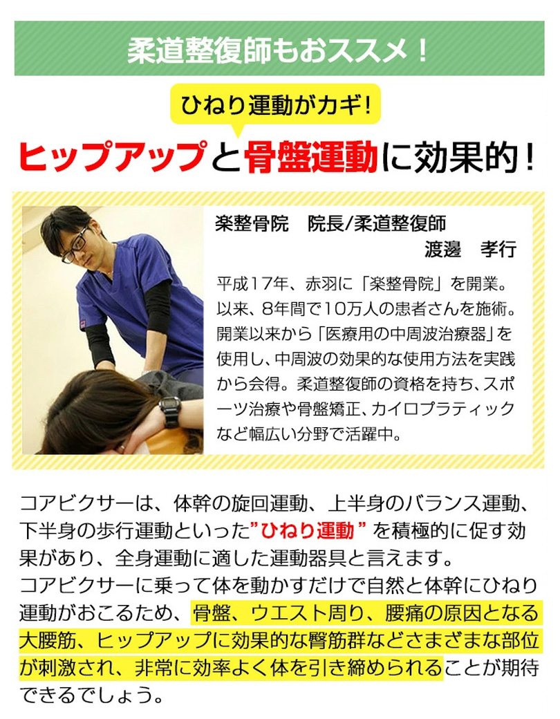 ＼新色／ くすみカラー 5年保証 ステッパー ツイストステッパー ダイエット 静音 エアロライフ コアビクサー 健康 エクササイズ 有酸素運動 ひねり | AEROLIFE | 15