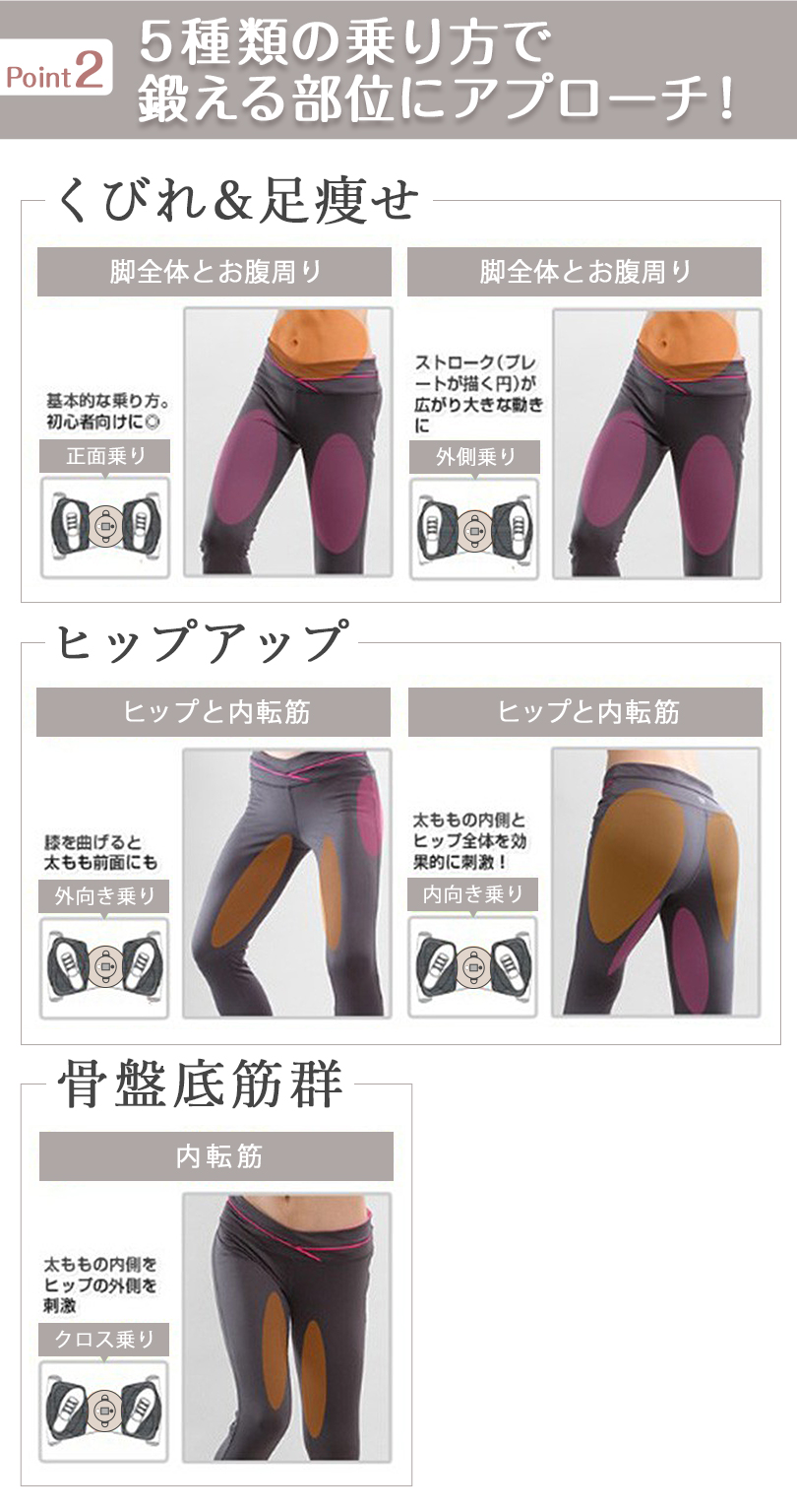 AEROLIFE ＼新色／ くすみカラー 5年保証 ステッパー ツイスト