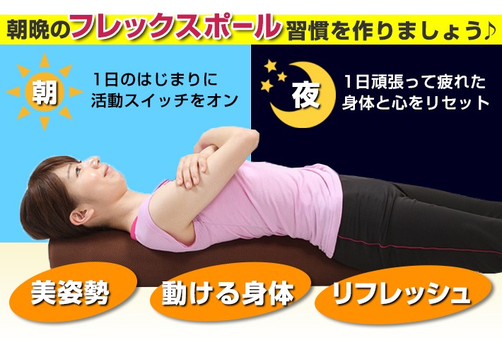 AEROLIFE（エアロライフ） フレックスポール ヨガポール 曲がる