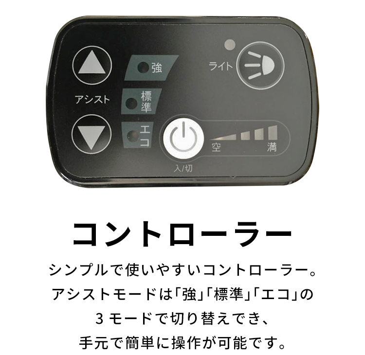 PELTECH TDN-212L 12Ah 20型 アルミ 折り畳み 電動アシスト