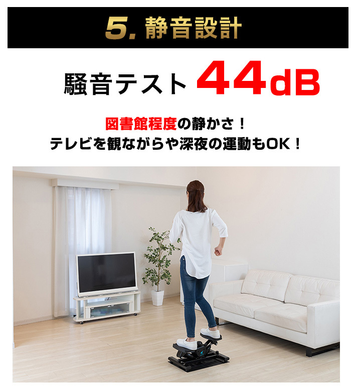 負荷調節 サイドステッパー THE MAX20 ステッパー 負荷調整 エアロ