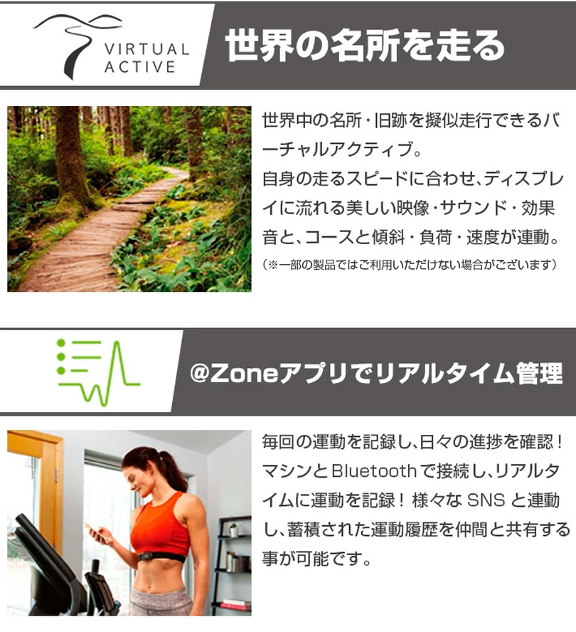 組立設置無料／ リカンベントバイク 5.0R ジョンソン JOHNSON アップ