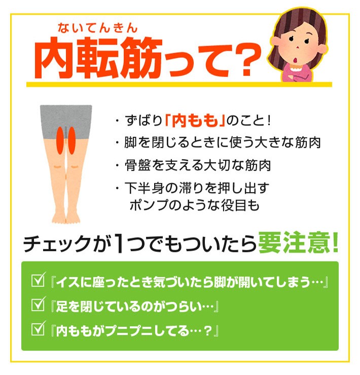 内転筋って？「内もも」のこと！脚を閉じるときに使う大きな筋肉