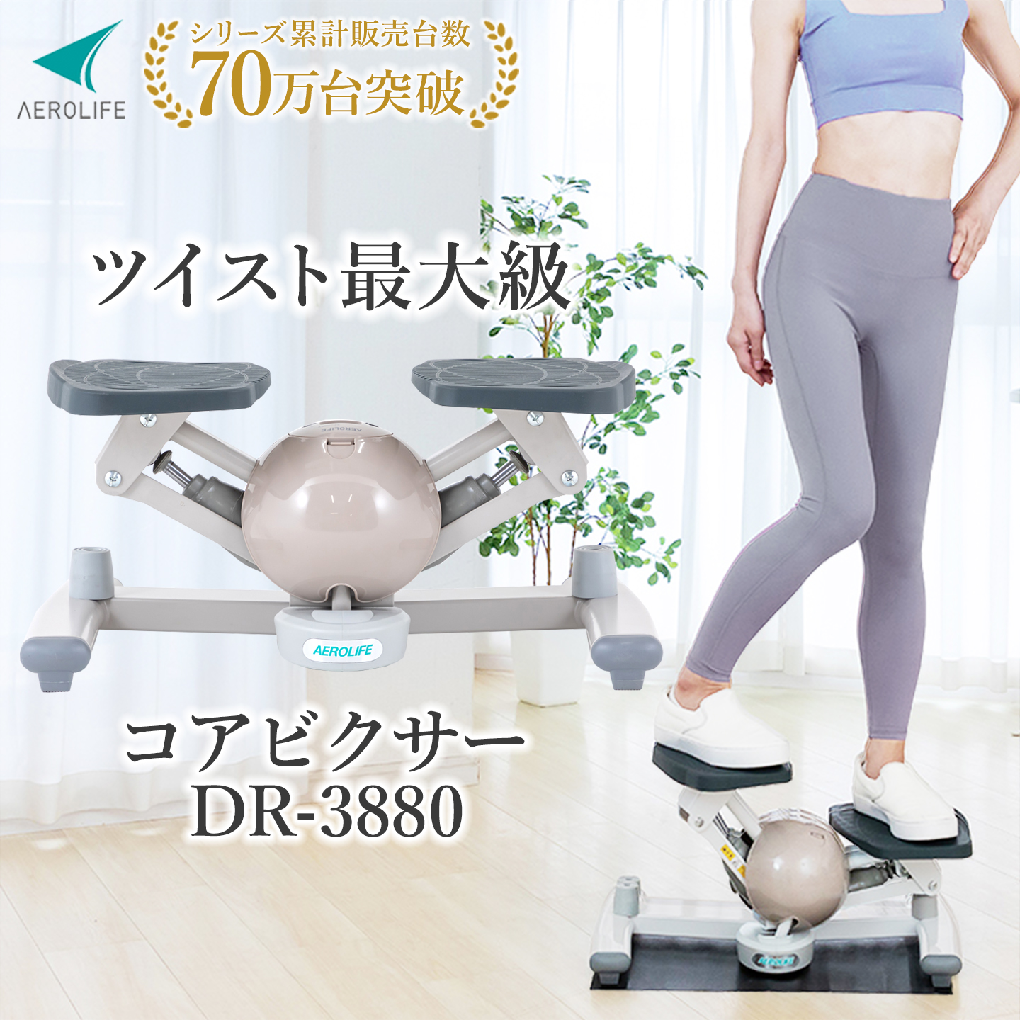 AEROLIFE（エアロライフ） ステッパー ツイストステッパー 1年保証