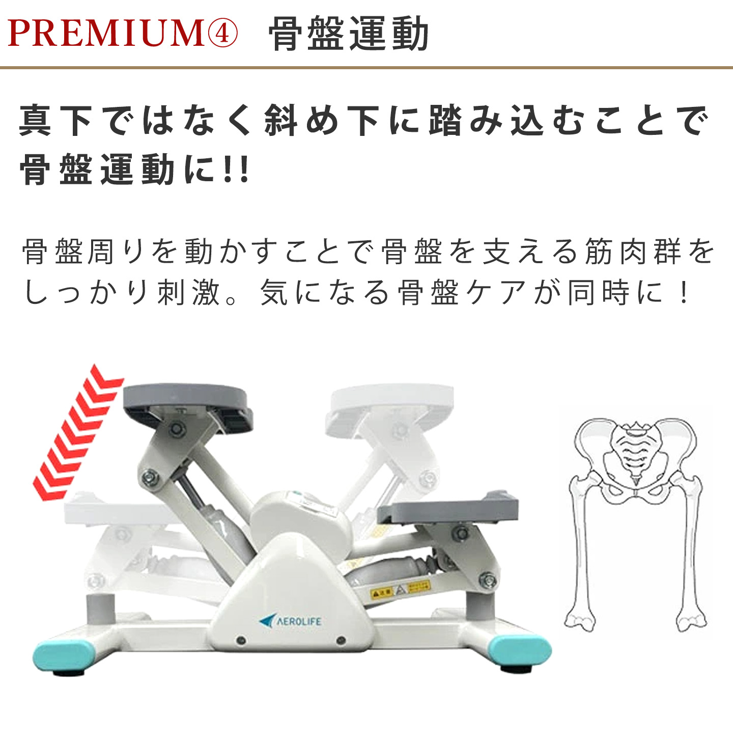 骨盤運動