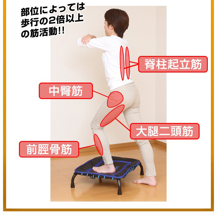 部位によっては歩行の2倍以上の筋活動!!　脊柱起立筋　中腎筋　大腿二頭筋　前脛骨筋　【商品コメント】ソフト踏み台昇降では、大腿二頭筋、前脛骨筋、中臀筋、脊柱起立筋の筋活動は歩行に比して高かった。本製品を使用することで室内で歩行以上に運動効果を期待できる運動が実施可能です。帝京大学　医療技術学部　スポーツ医療学科　加藤 基 講師