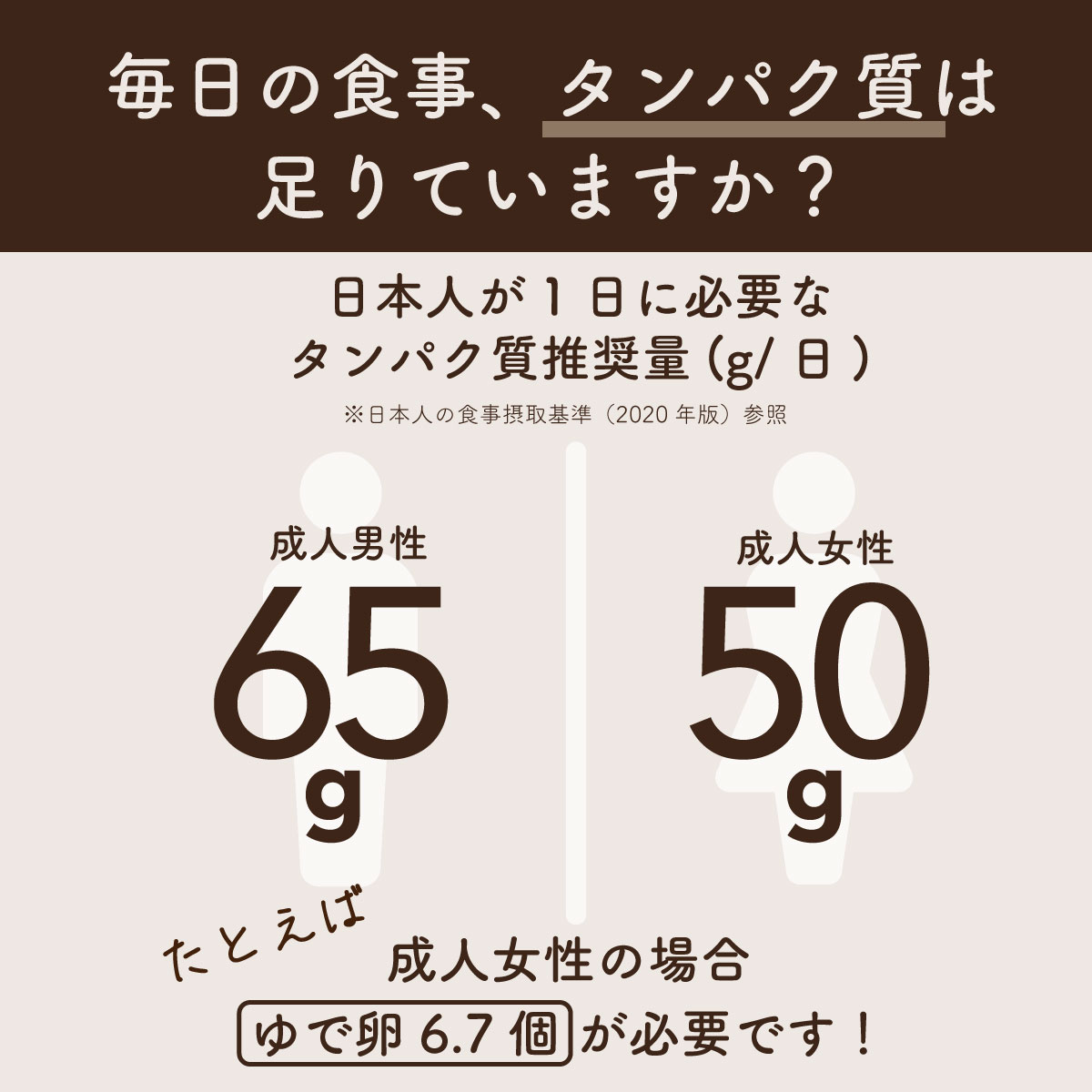 ソイプロテイン 大豆プロテイン Gohan t...の詳細画像2