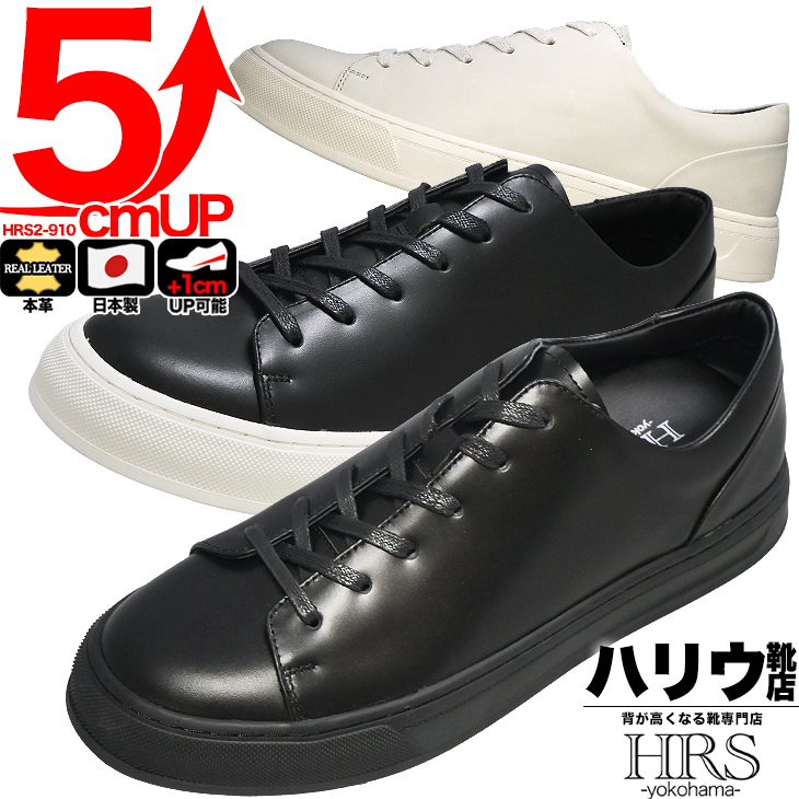 hrs2-910_00.jpg