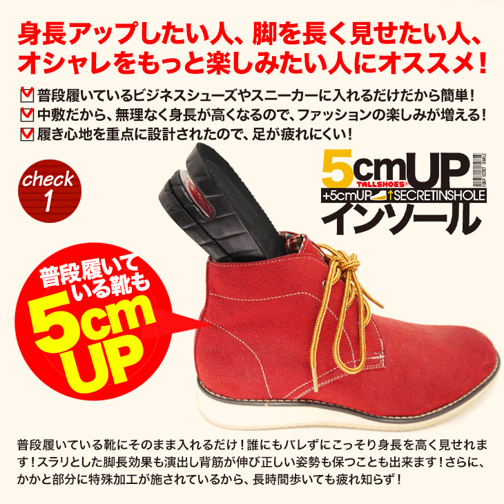 シークレットインソール 5cmアップ 2段式 シークレットシューズ