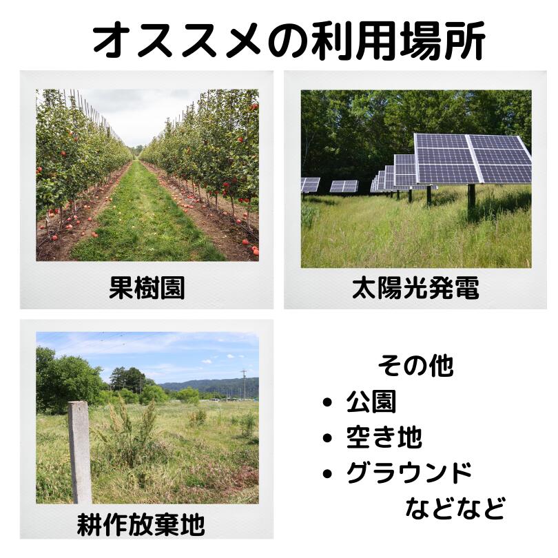 ラジコン草刈機 + バッテリー付 ゼノア WM510RC SER38-12【91