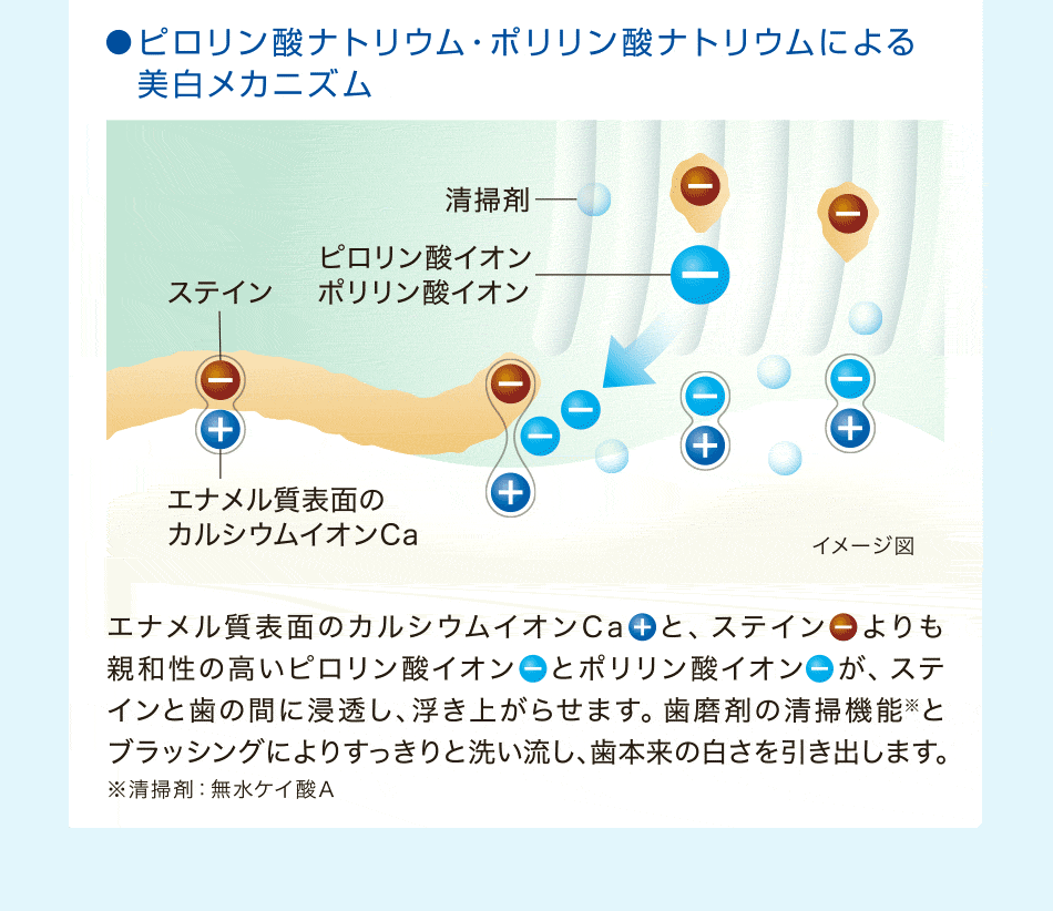 ブリリアントモア はこんな方におすすめです