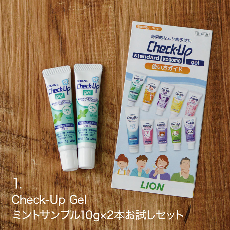 お試し フッ素 歯磨き粉 ライオン デント チェックアップ お試し サンプル セット 選べる 11種類 大人 子供 メール便 送料無料 ポイント消化