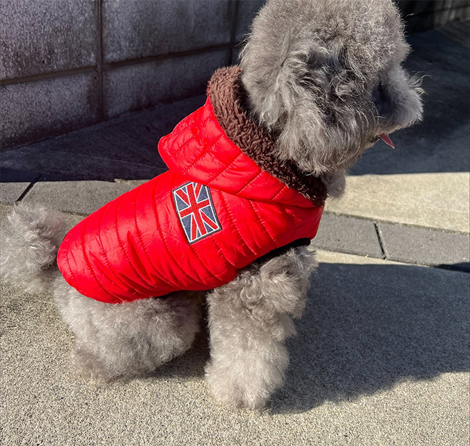 全品Point10倍!最大倍率50% ダウン風ベスト ペットウェア 犬 ペット服