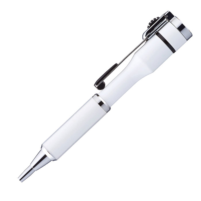 ペン　印鑑　名入れ　ボールペン　プレゼント　ギフト　就職祝い　誕生日　記念品　名入れ ネームペン シャチハタ キャップレスS ネーム印セット UL | 名入れギフトKARIN | 06