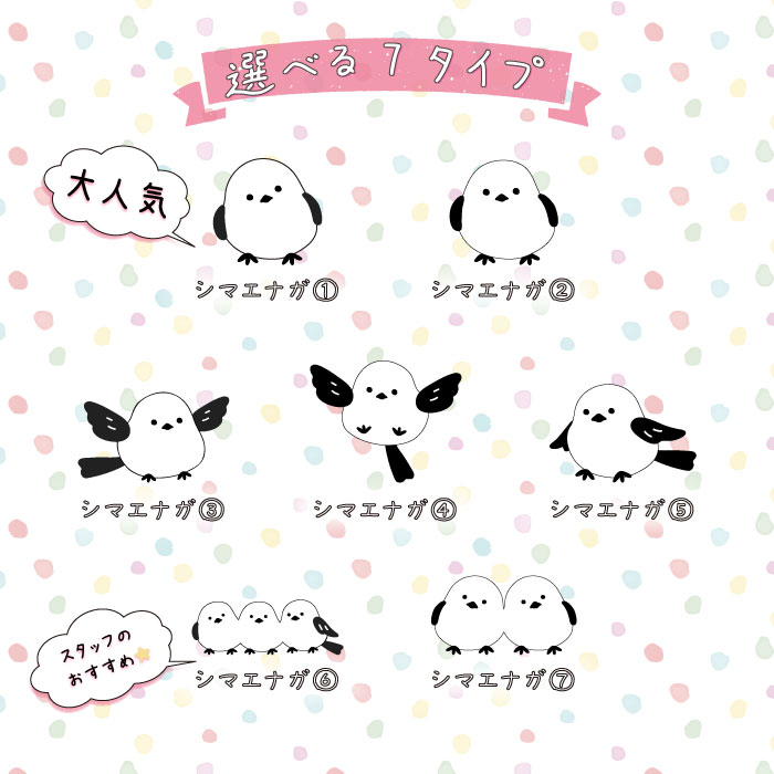 mocca 曲げわっぱ 弁当箱 レディース まげわっぱ 名入れ しまえなが