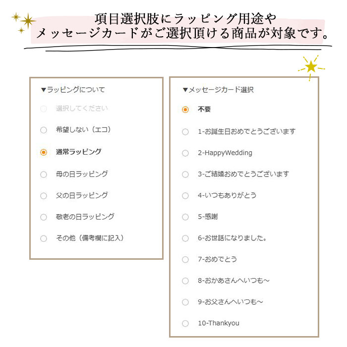 項目選択肢イメージ