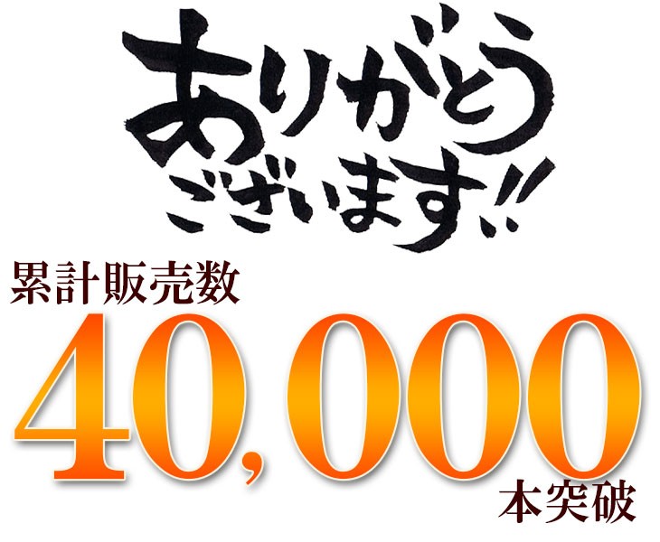 累計販売総数４００００本突破