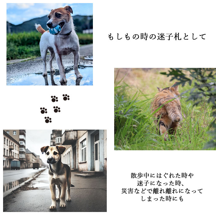 犬 ねこ 首輪用 ネームタグ 迷子札 名札 ペット 名前 ネーム プレート 木製 いぬ 猫 イヌ ネコ IDタグ かわいい 可愛い 木 キーホルダー おしゃれ 軽い 軽量