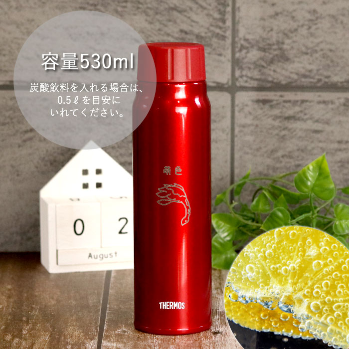 サーモス 水筒 保冷 炭酸飲料 ボトル 500ml 名入れ 恐竜デザイン Fjk 500 箱入り 送料無料 炭酸 Thermos かわいい かっこいい スポーツ N Bt 029dzi 曲げわっぱ弁当箱の漆器かりん本舗 通販 Yahoo ショッピング