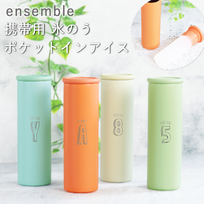 名入れ ギフト 氷嚢 氷のう 携帯用 emsa...の詳細画像1
