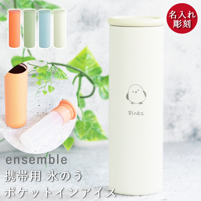 名入れ ギフト 氷嚢 氷のう 携帯用 emsamble ポケットインアイス