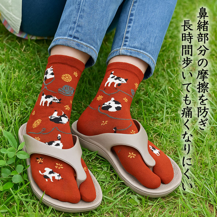 柄おまかせ足袋靴下3足セット